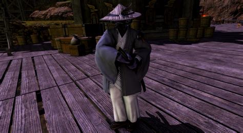 Ronin | Eorzea Collection