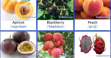 11 Gambar Buah Buahan Dalam Bahasa Inggris Paling Update Gambar Tinky