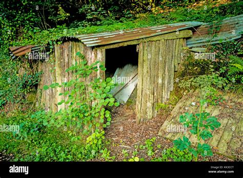 This old shed in the woods of Devon barely retains its primary function ...