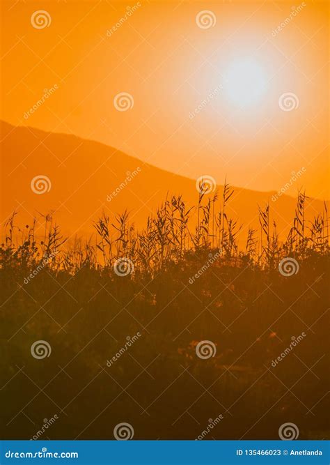 Sunrise over mountain hill stock image. Image of dask - 135466023