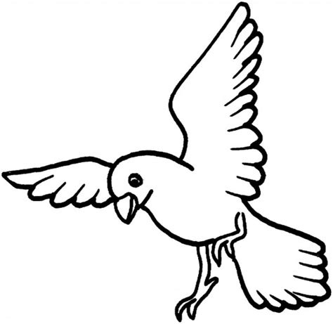 Simple Bird Coloring Pages at GetDrawings | Free download