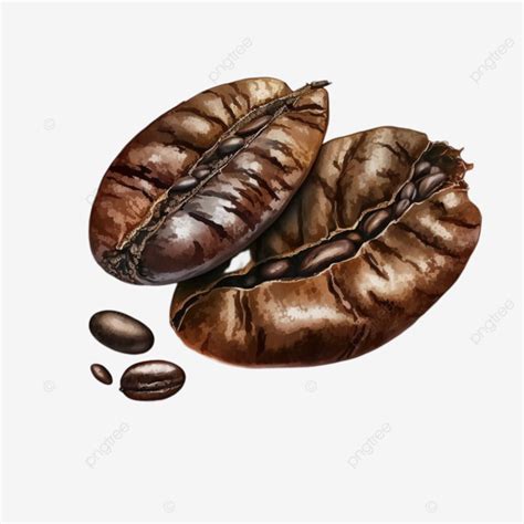 Coffee Beans Coffee Cartoon Transparent Coffee Beans Coffee Cartoon
