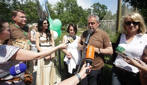 Sex Za Novac Zagreb Prona I Pratnju Zacucaki Blog Hr