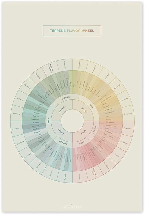 Amazon.com: Goldleaf Terpene Flavor Wheel Art Print, Minimalist Terpenes Infographic Poster ...