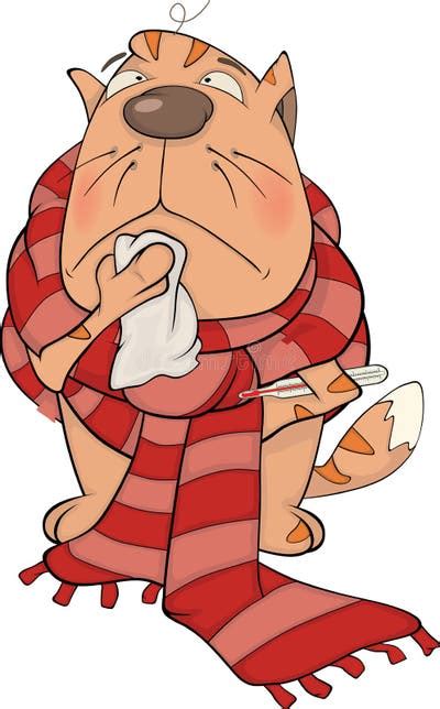 Sick Cat Stock Illustrations 5251 Sick Cat Stock Illustrations