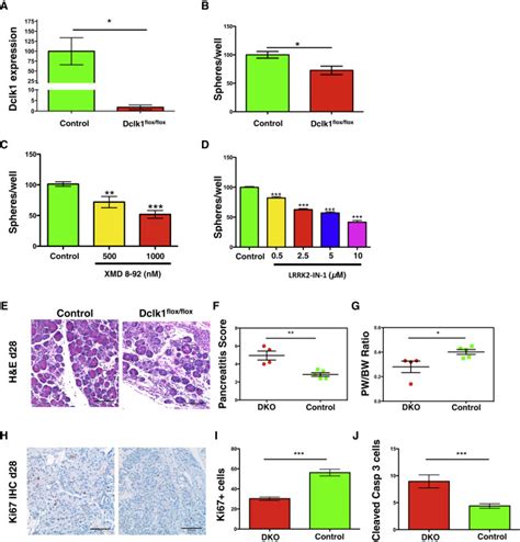 Dclk1 Defines Quiescent Pancreatic Progenitors That Promote Injury