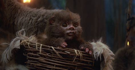 Baby Ewok