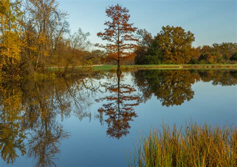 Lake st louis mo property values that are reaching record highs 1