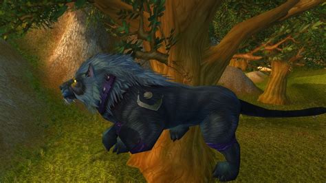 cat form spell cataclysm classic