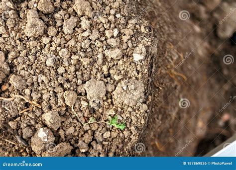 Earth Ground Texture As Background, Nature Stock Photo - Image of ...