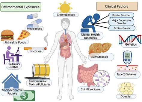 Frontiers | Non-alcoholic fatty liver disease (NAFLD) and mental ...