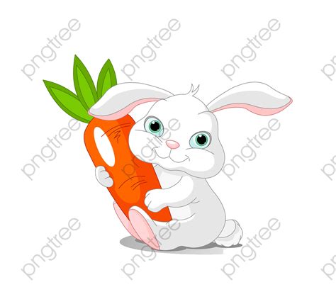 Rabbit Eating Carrot Drawing At Explore Collection