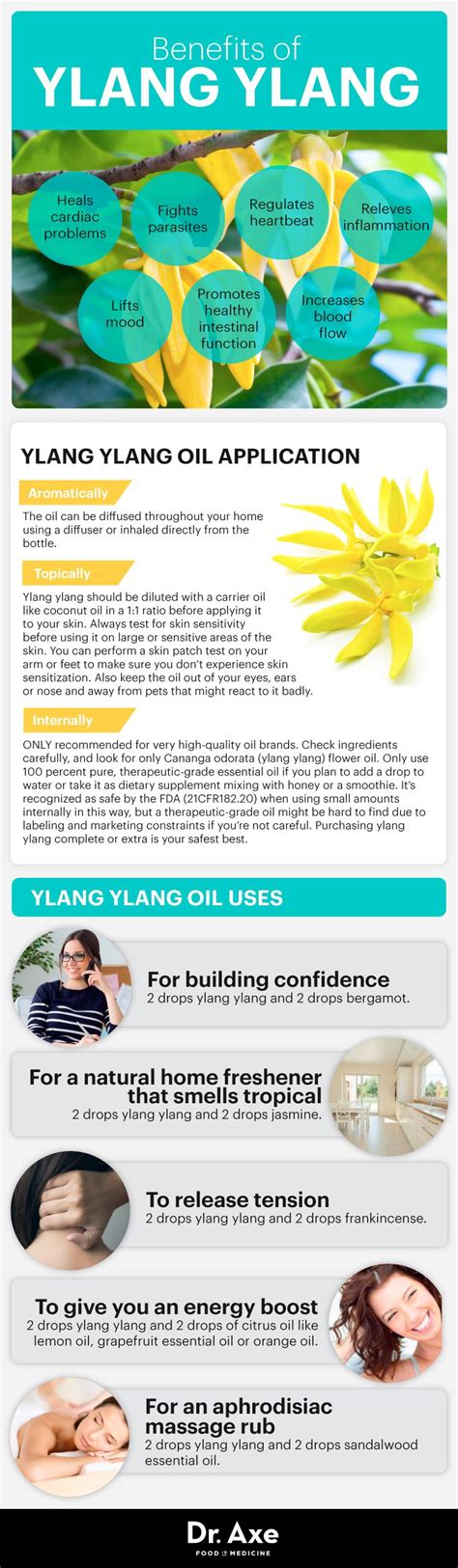 Benefits Of Ylang Ylang Essential Oil For Your Health Mood And Energy Infogrpahic