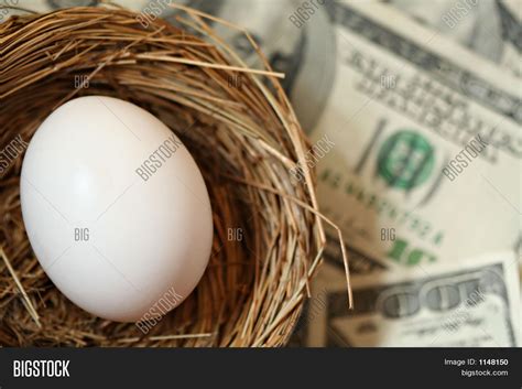 nest egg money image photo  trial bigstock