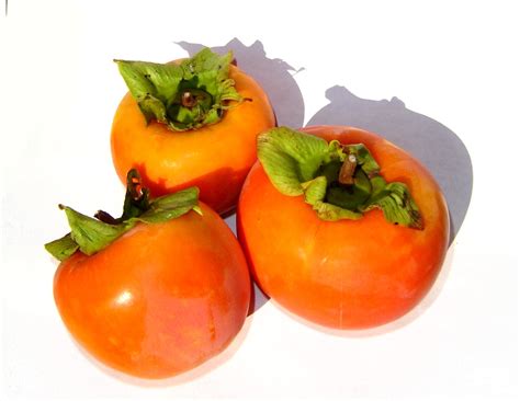 sugar  kaki fruit  eileen crofts blog