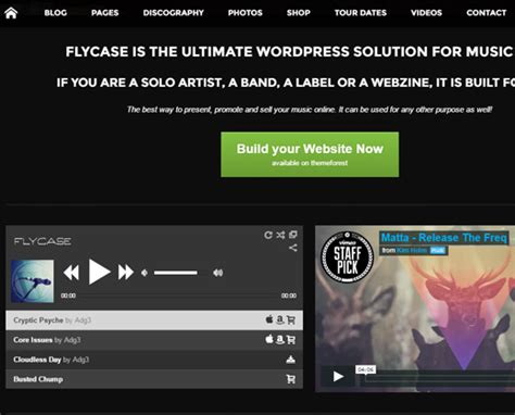 Best Wordpress Themes For Bands Musicians Laptrinhx