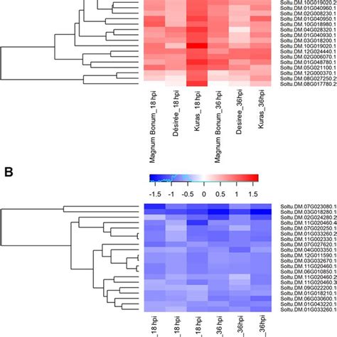 Heat Map Showing The A Top 20 Up And B Down Regulated Common DEGs From