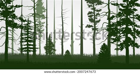 Forest Green Branch Tree Naked Trees Stock Vector Royalty Free