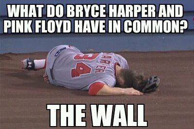 16 Funny baseball memes ideas | baseball memes, funny baseball memes ...