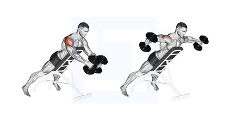 Dumbbell Reverse Fly Guide Benefits And Form