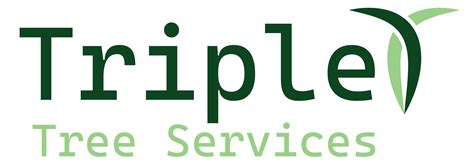 Can a Tree Die From Pruning? The Answer Might Shock You