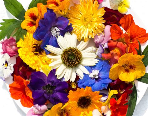 Edible Flowers Jigsaw Puzzle In Flowers Puzzles On