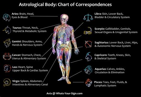 What body part does each zodiac sign rule 52 photos - Astrologytoyou.com
