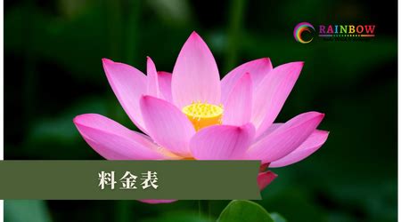 個人 Rainbow Nude Yoga Massage