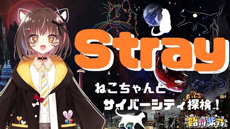 stray youtube