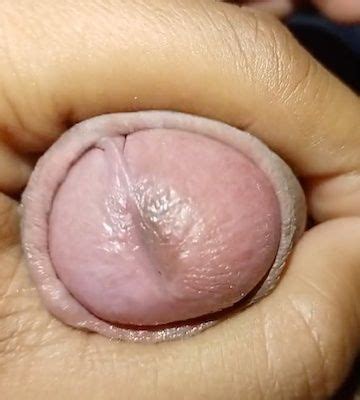 Top Gay Amateur Porn Video Creators Of Homemade Sex Xhamster