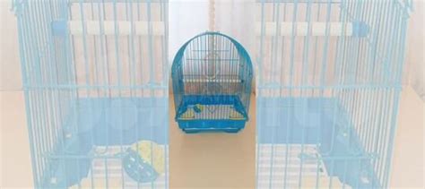 Клетка для попугая бу купить в Нижнем Новгороде | Животные и зоотовары ...