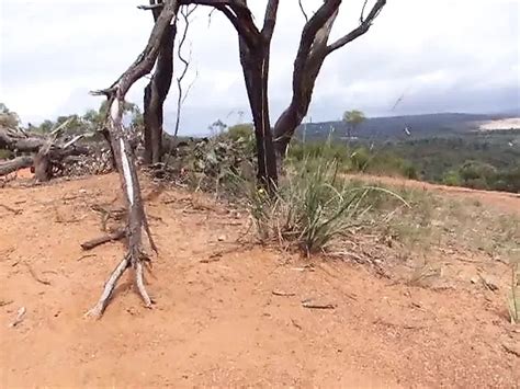 Cock Torture With Fire Gay Porn Xhamster