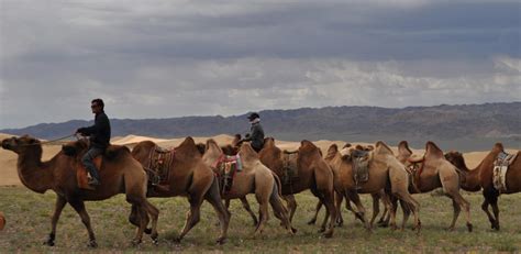 Why Go Now: Mongolia | Just Back From an Insider Journey