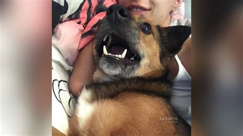 Tiny Tits Teen Squirt XXX Dessert Picture 3