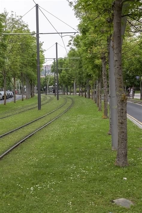 Guggenheim Museum Excursion, Bilbao | neOnbubble