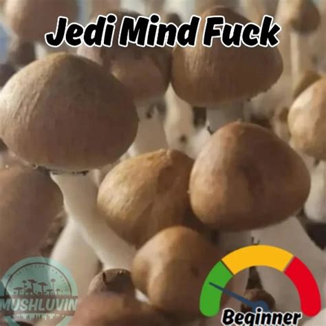 Grow Spore Syringe Jedi Mind Fuck Liquid Culture Syringe