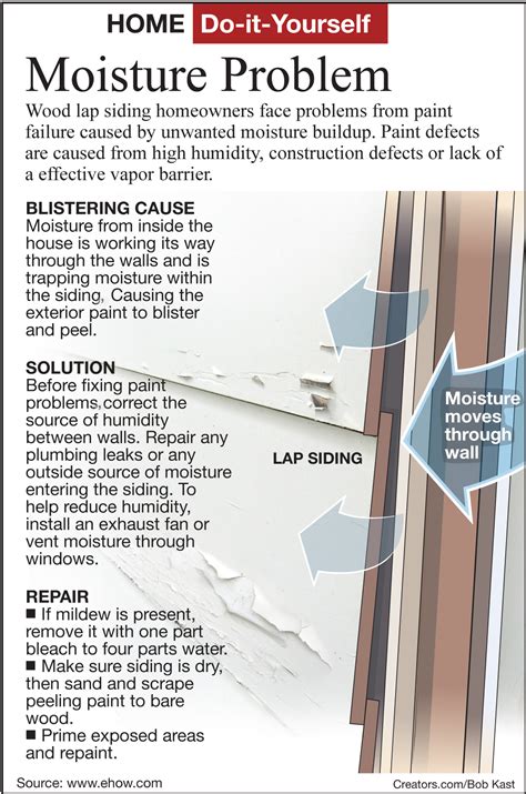 Repair and Stop Paint Blistering Problems - The San Fernando Valley Sun