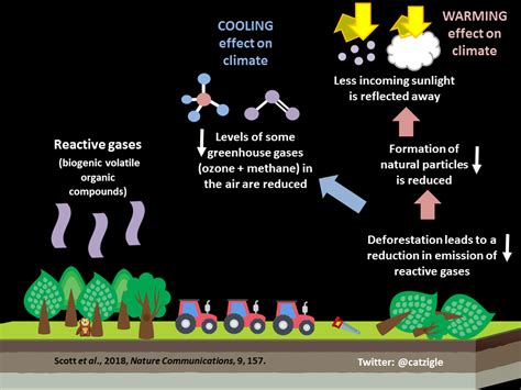 How Does Deforestation Affect The Earth S Atmosphere - The Earth Images ...