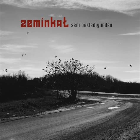 Zemin Kat Seni Beklediğimden Lyrics Genius Lyrics