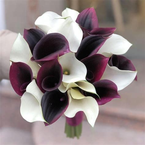 Букет цветов из калл - 80 фото