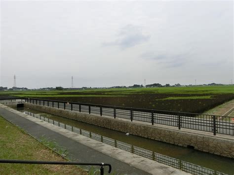 THE 10 BEST Things to Do in Gyoda - 2021 (with Photos) | Tripadvisor ...