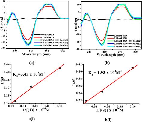 Circular Dichroism Cd Spectra Of Ctdna Mm In The Absence Red