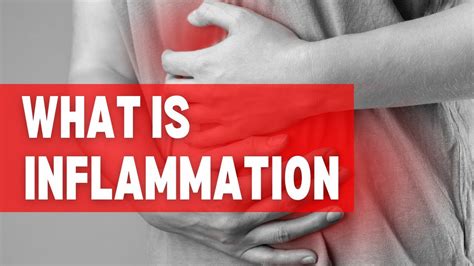 inflammation inflammation inflammatory response