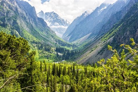 Река Ала арча (50 фото)