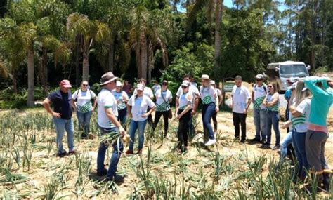 Curso T Cnico Em Agroneg Cio Alunos Visitam Propriedades E