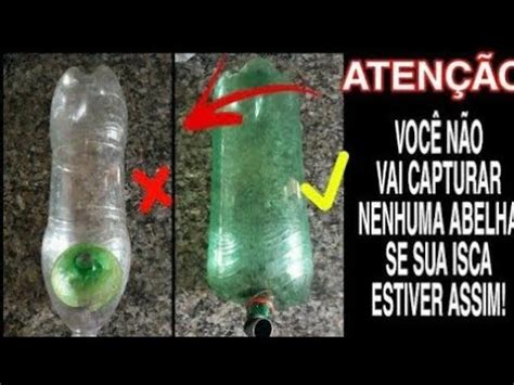 Se Sua Isca Pet Estiver Assim Voc N O Vai Capturar Abelhas Sem Ferr O