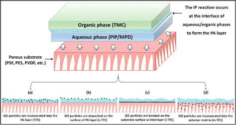 illustration   interfacial polymerization ip technique