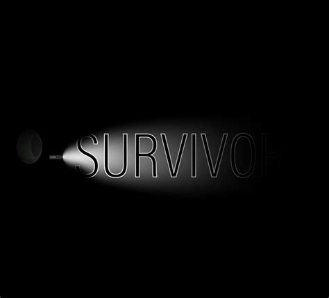 Survivor by KMG