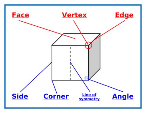 shape properties display poster teaching resources