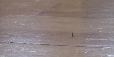 Free Giantess Unaware Porn Videos Sex Movies Tnaflix